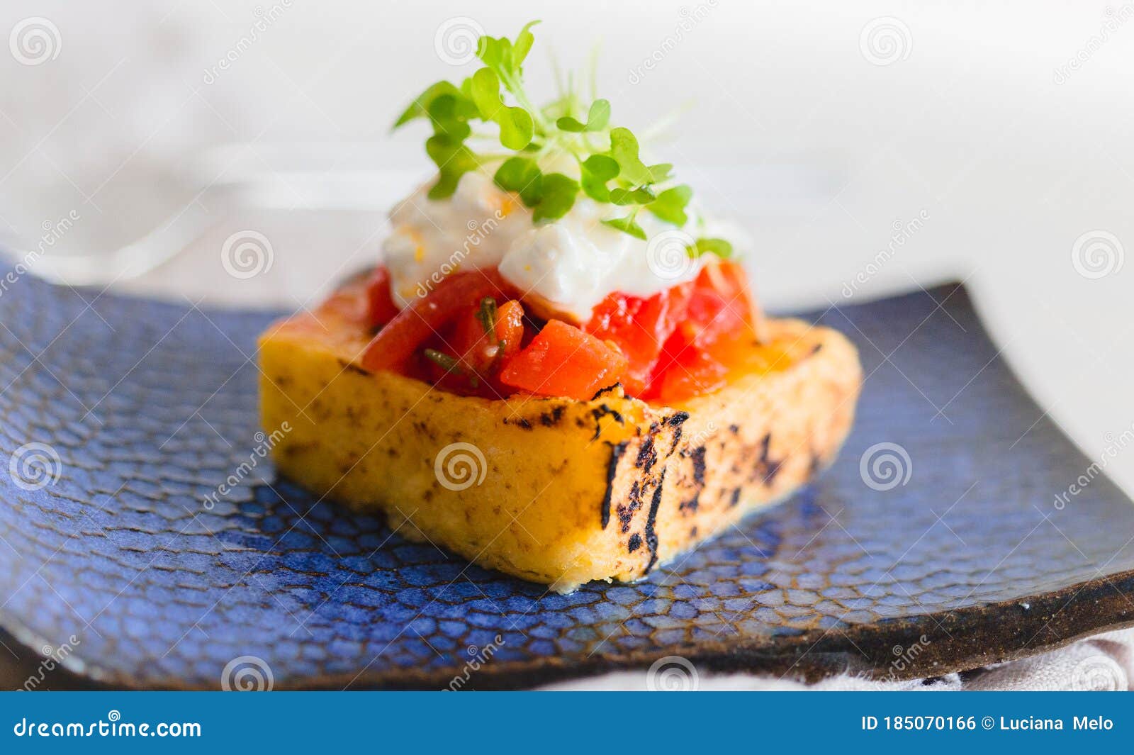 Grilled Polenta with Tomato Sauce and Cheese and Sprouts Stock Photo Image of recipe, cheese
