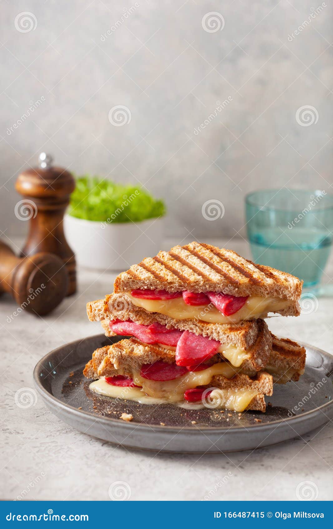 Grilled Salami and Cheese Sandwich Stock Image Image of cheese