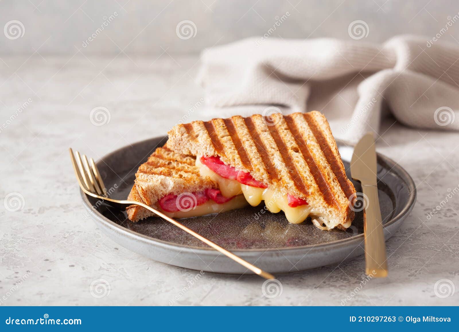 Grilled Salami and Cheese Sandwich Stock Image Image of meat