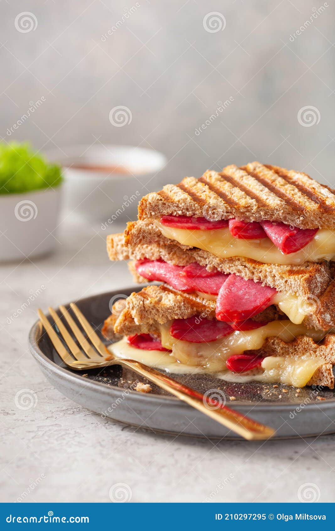 Grilled Salami and Cheese Sandwich Stock Image Image of breakfast