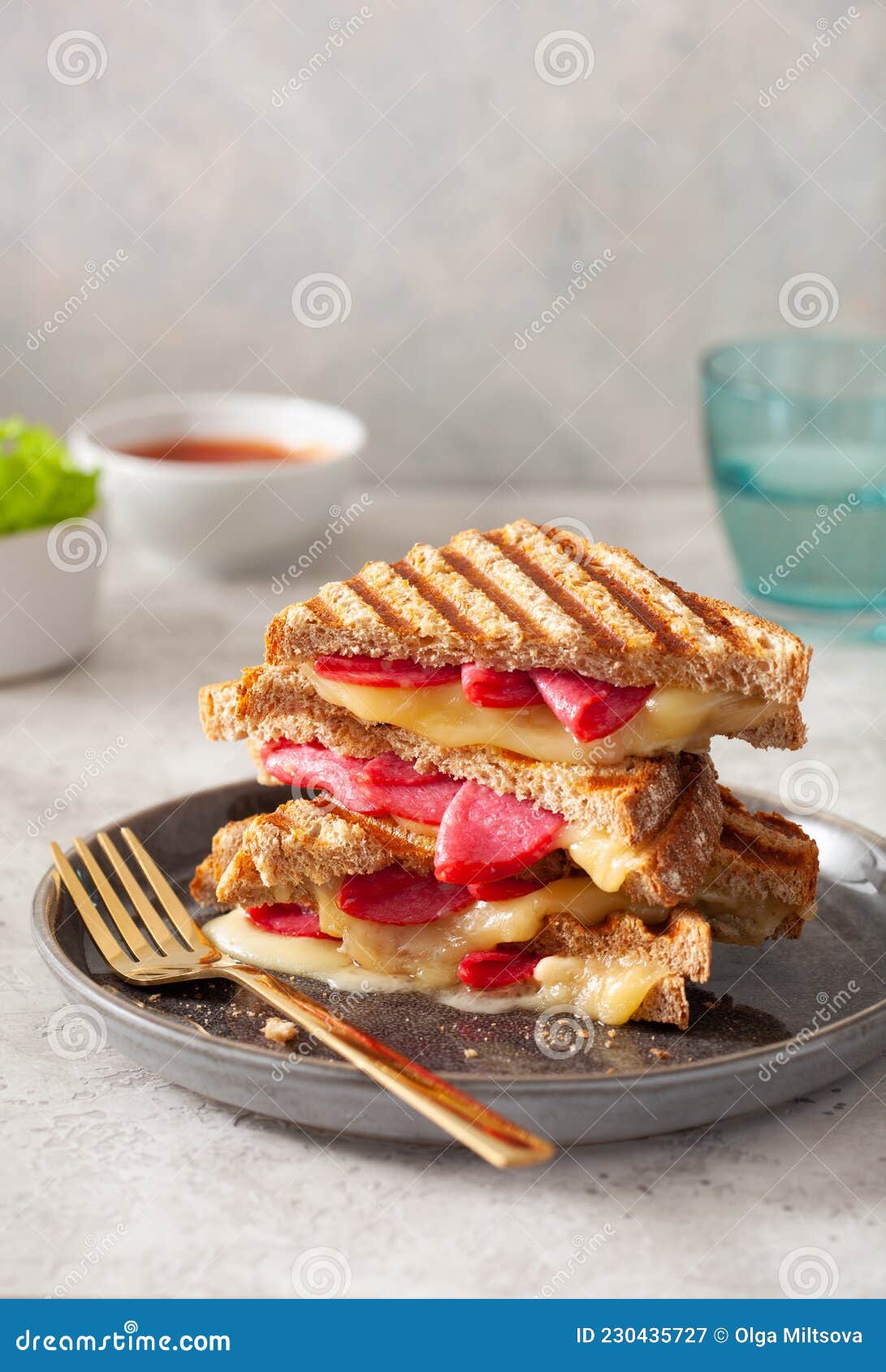 Grilled Salami and Cheese Sandwich Stock Image Image of sauce, fresh