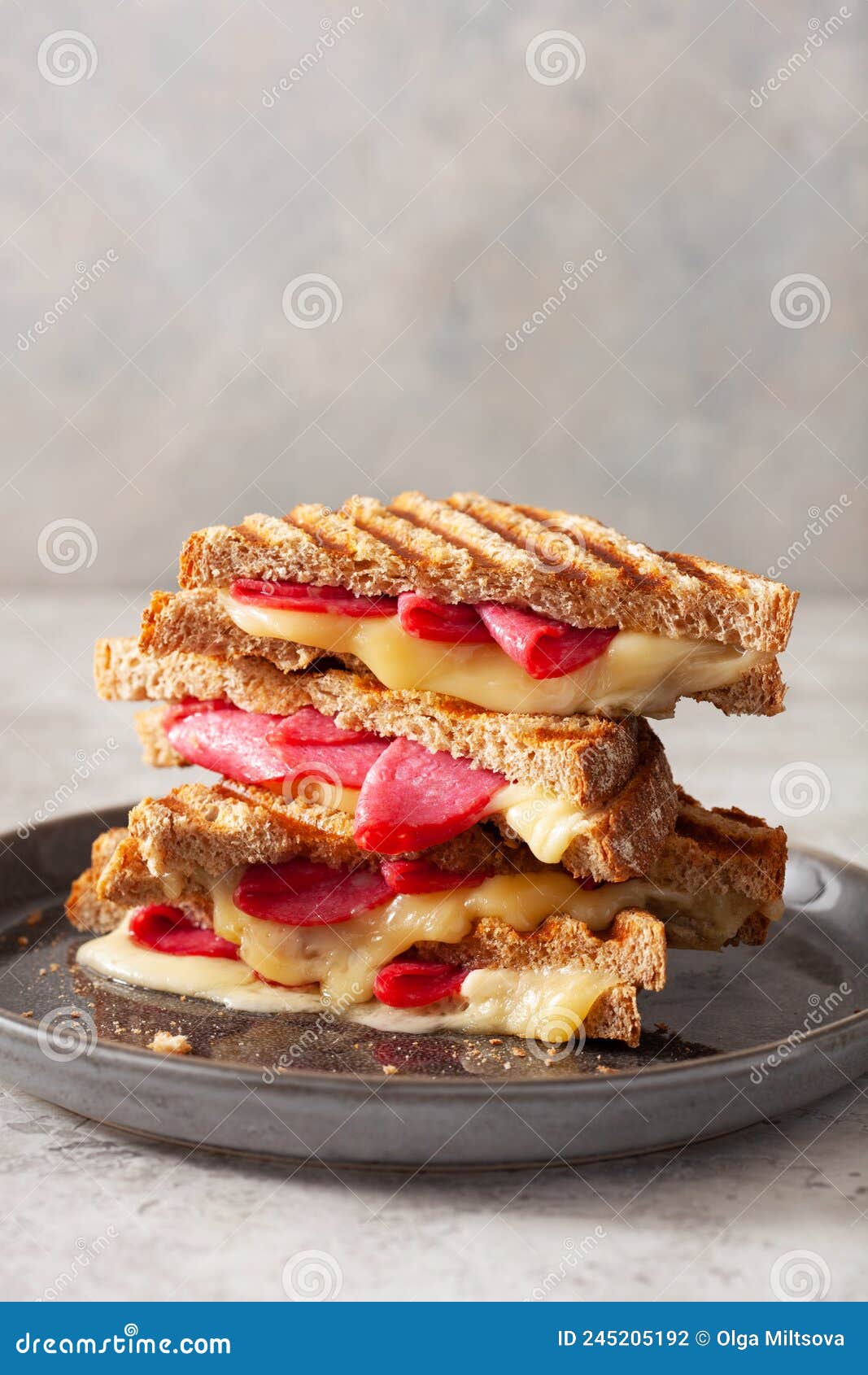 Grilled Salami and Cheese Sandwich Stock Photo Image of fast