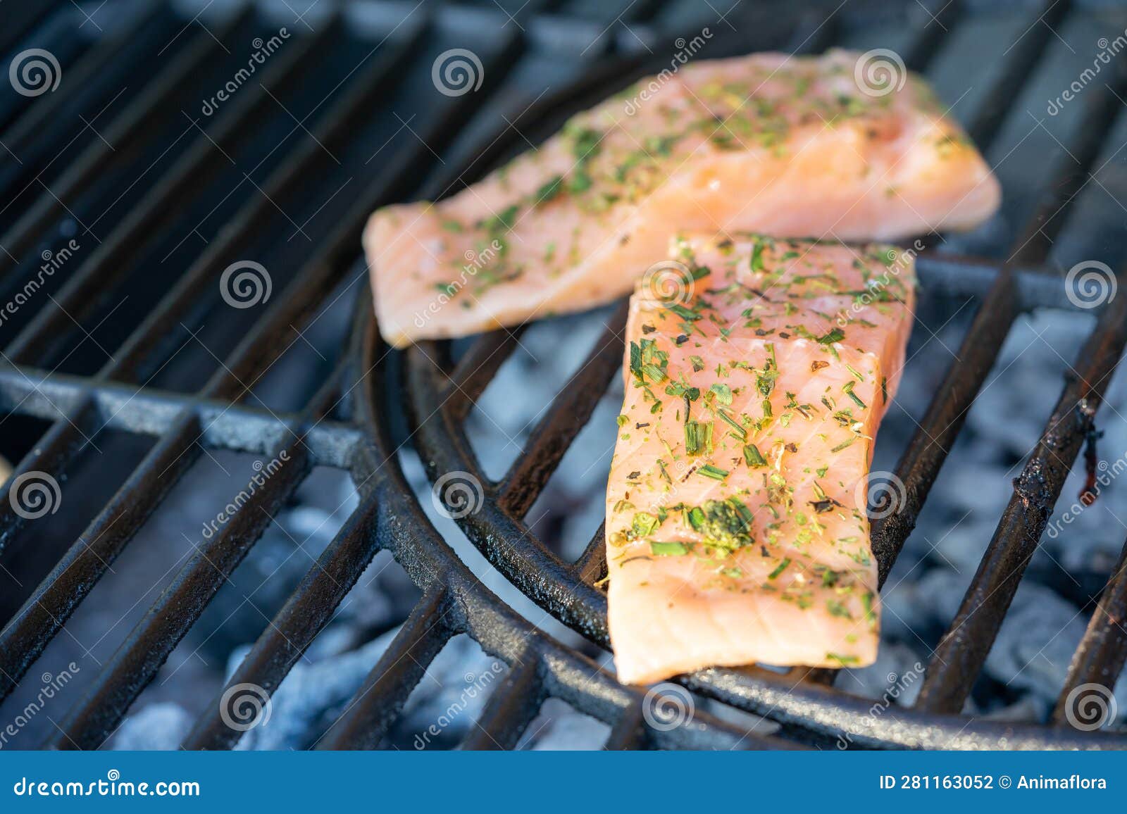 Grilled Salmon on the Grill Stock Photo Image of heat, picnic 281163052
