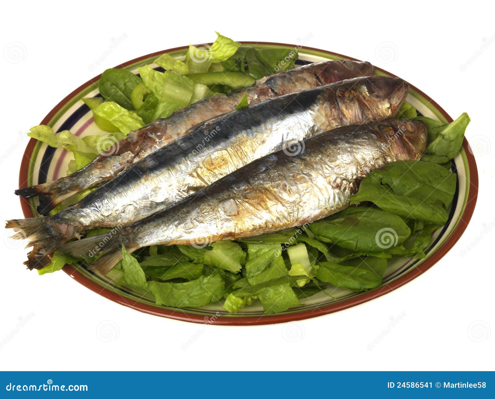 Grilled Sardines stock image. Image of studio, fried 24586541