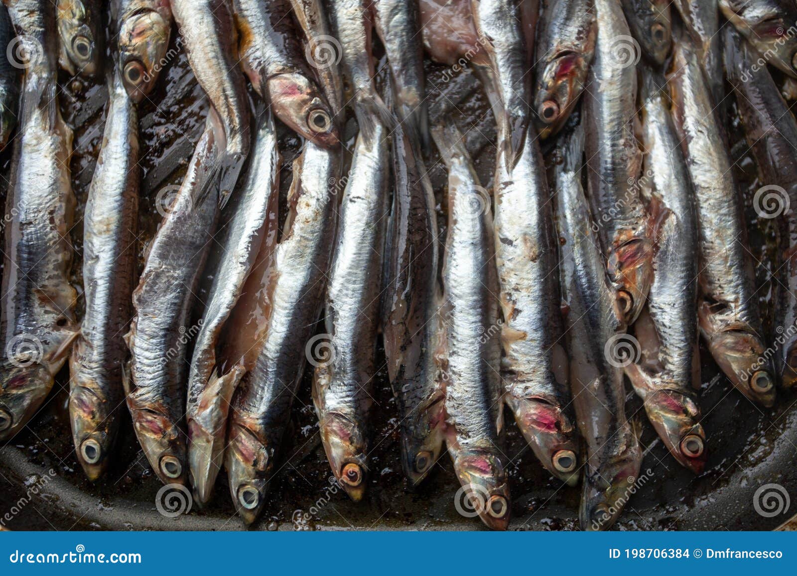 Grilled Sardines and Sardines Fresh Fish Just Caught Stock Photo