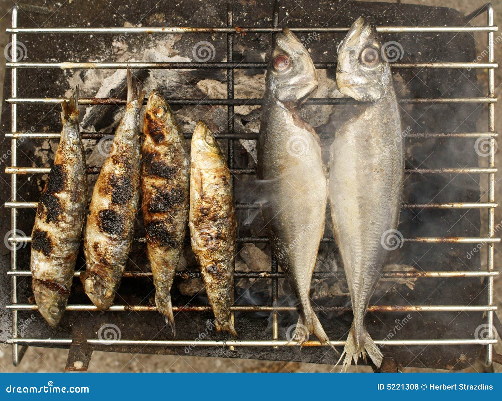 Grilled Sardines and Mackerel Stock Photo Image of fish, grilling