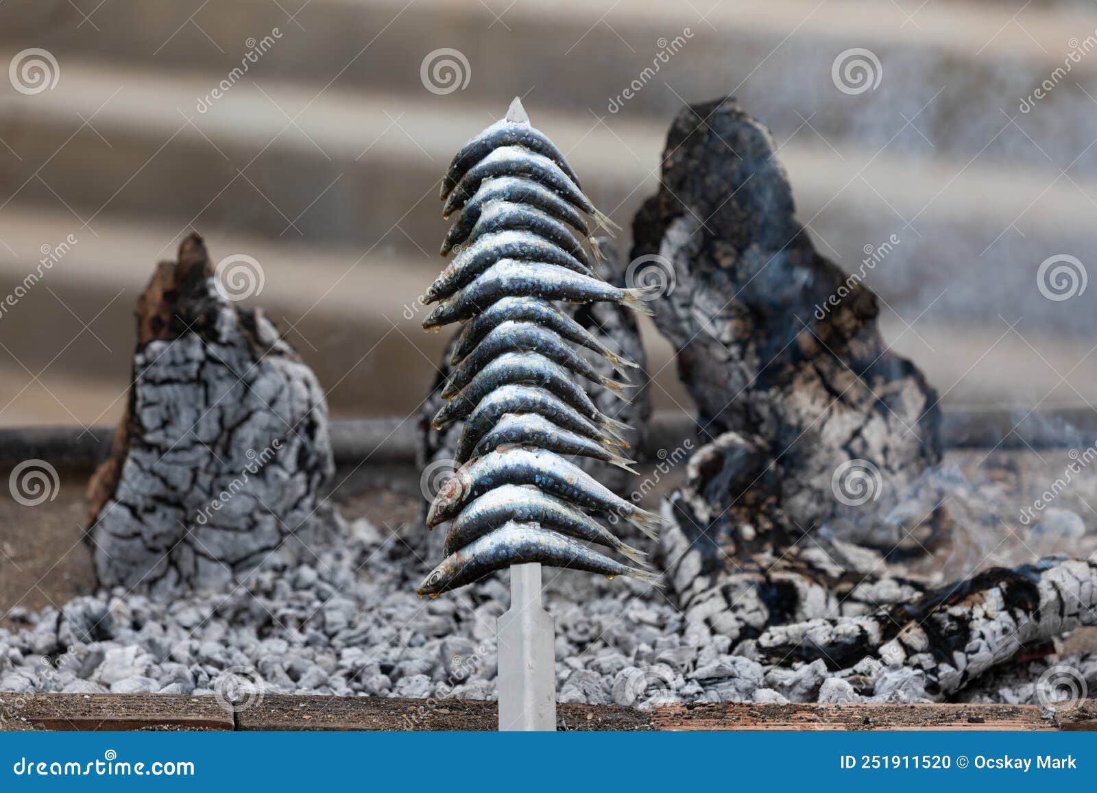 Grilled Sardines stock photo. Image of gourmet, grilled 251911520