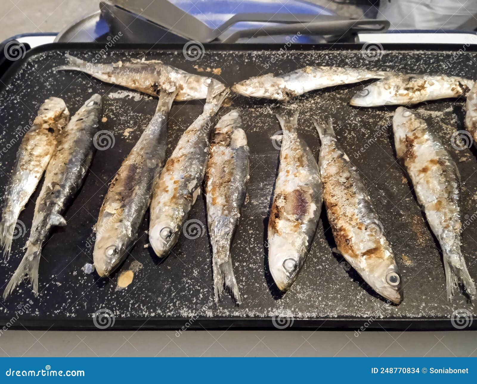 Grilled Sardines in Summer in Spain Stock Photo Image of firewood, food 248770834