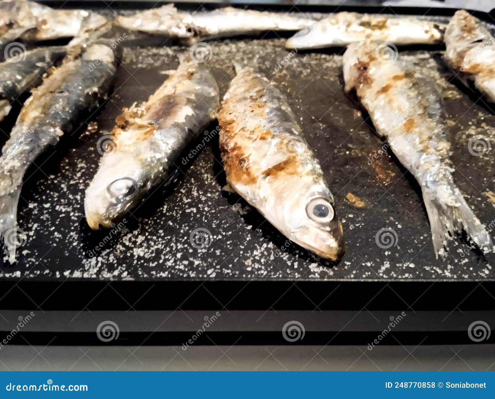 Grilled Sardines in Summer in Spain Stock Photo Image of barbecue, cooking 248770858