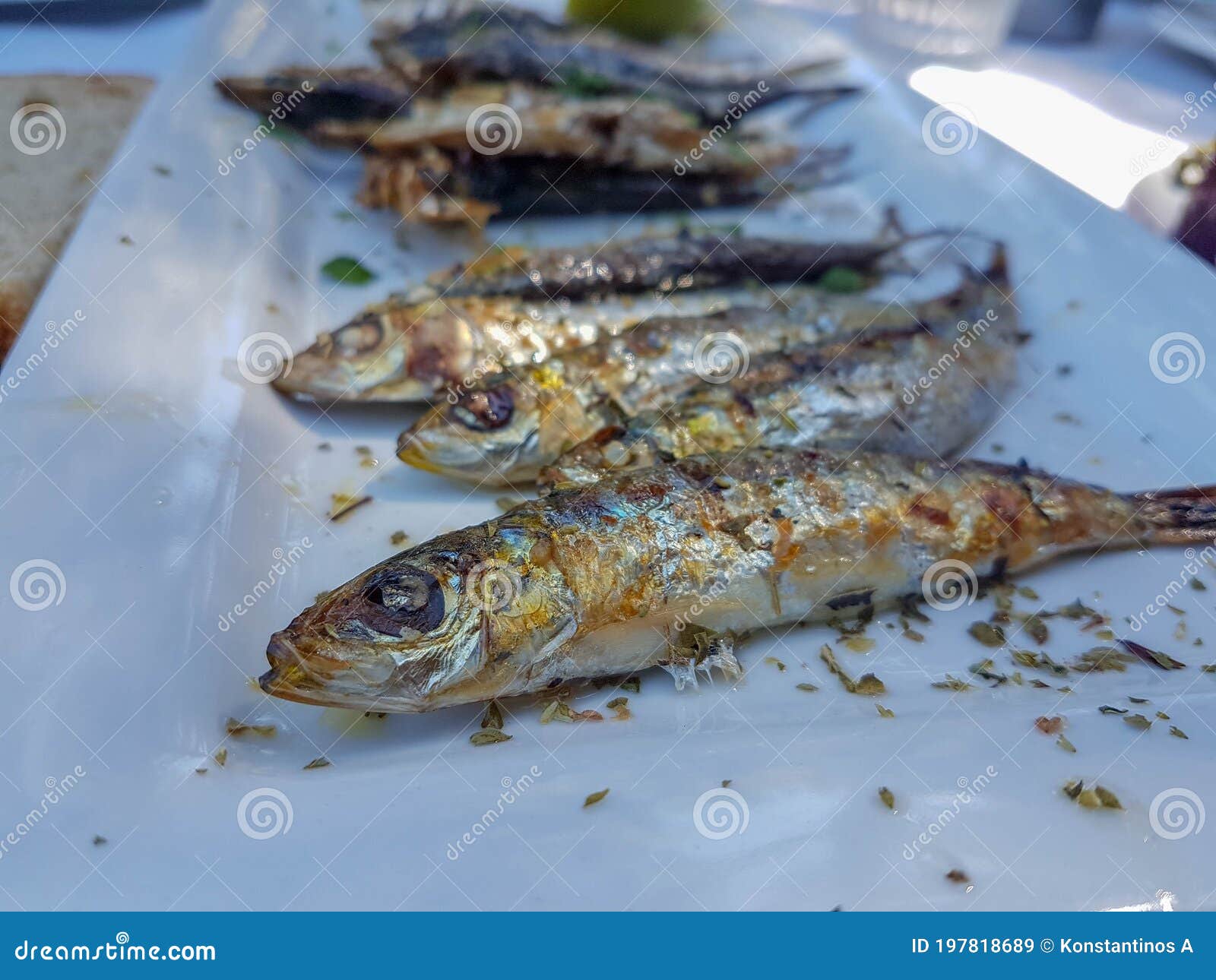 Grilled Sardines on the Table in a Plate in Preveza Stock Image Image