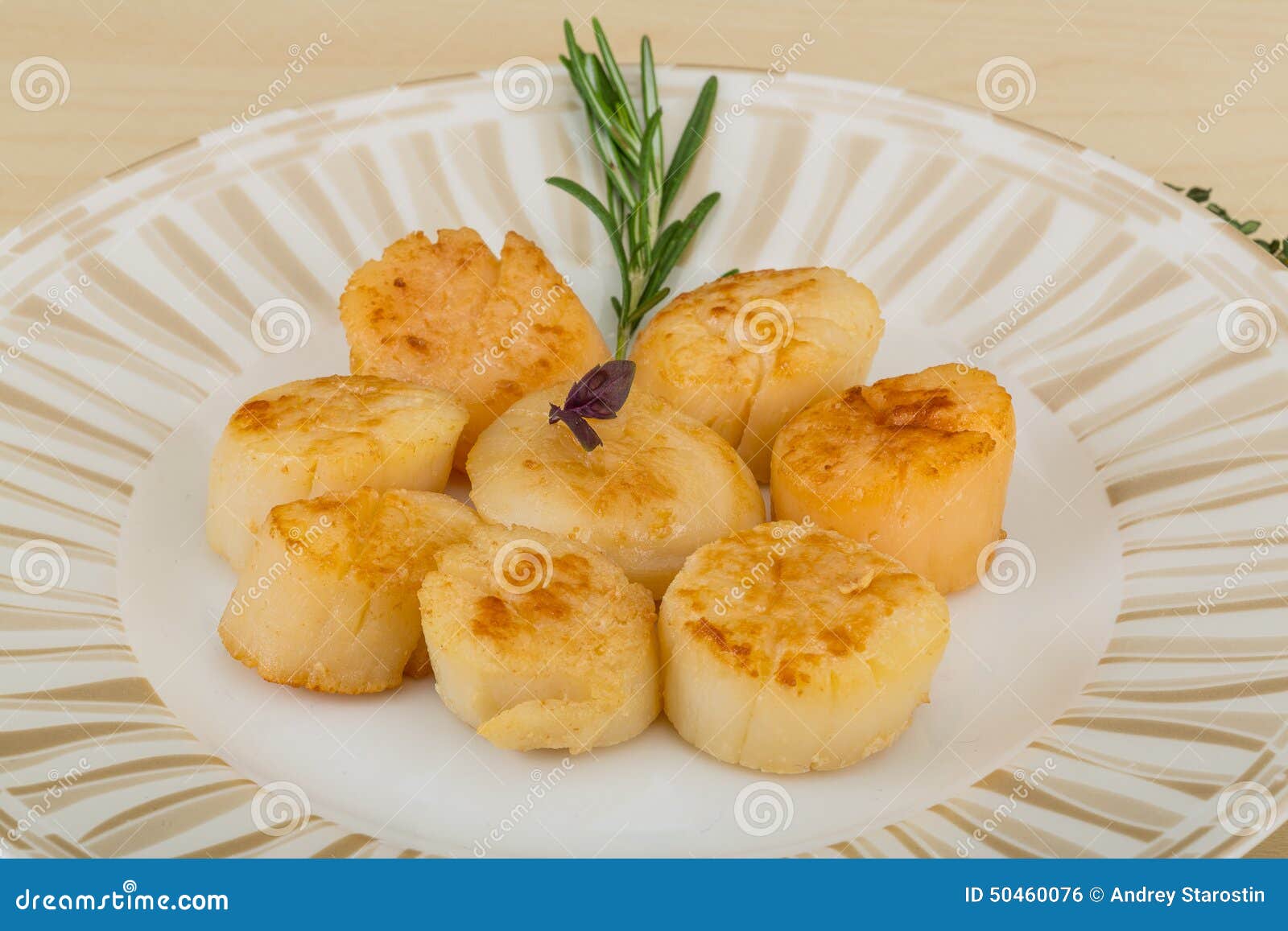Grilled scallops stock photo. Image of nutrition, cooked 50460076