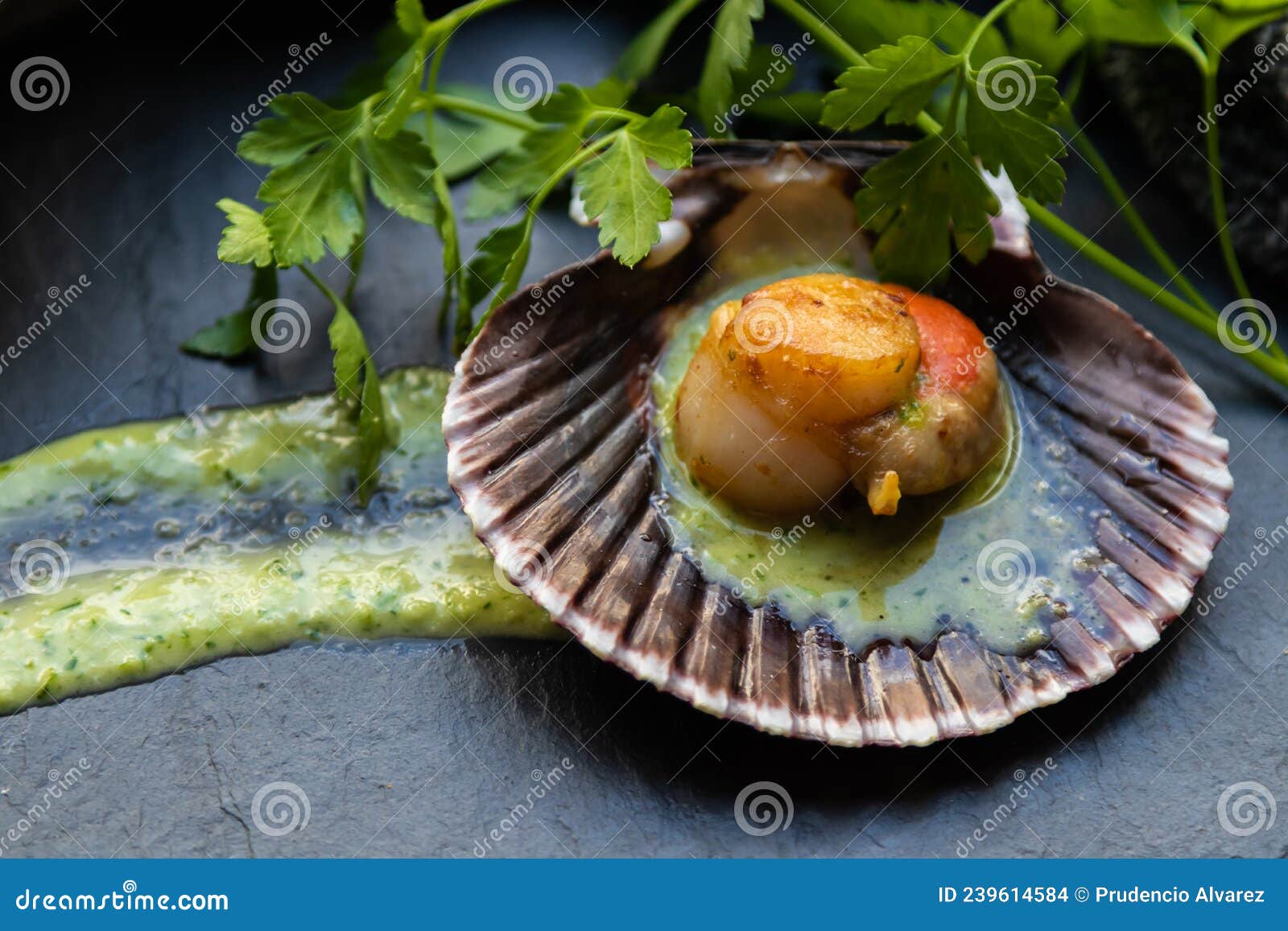 Grilled Seafood in Green Sauce Stock Photo Image of fish, galicia 239614584