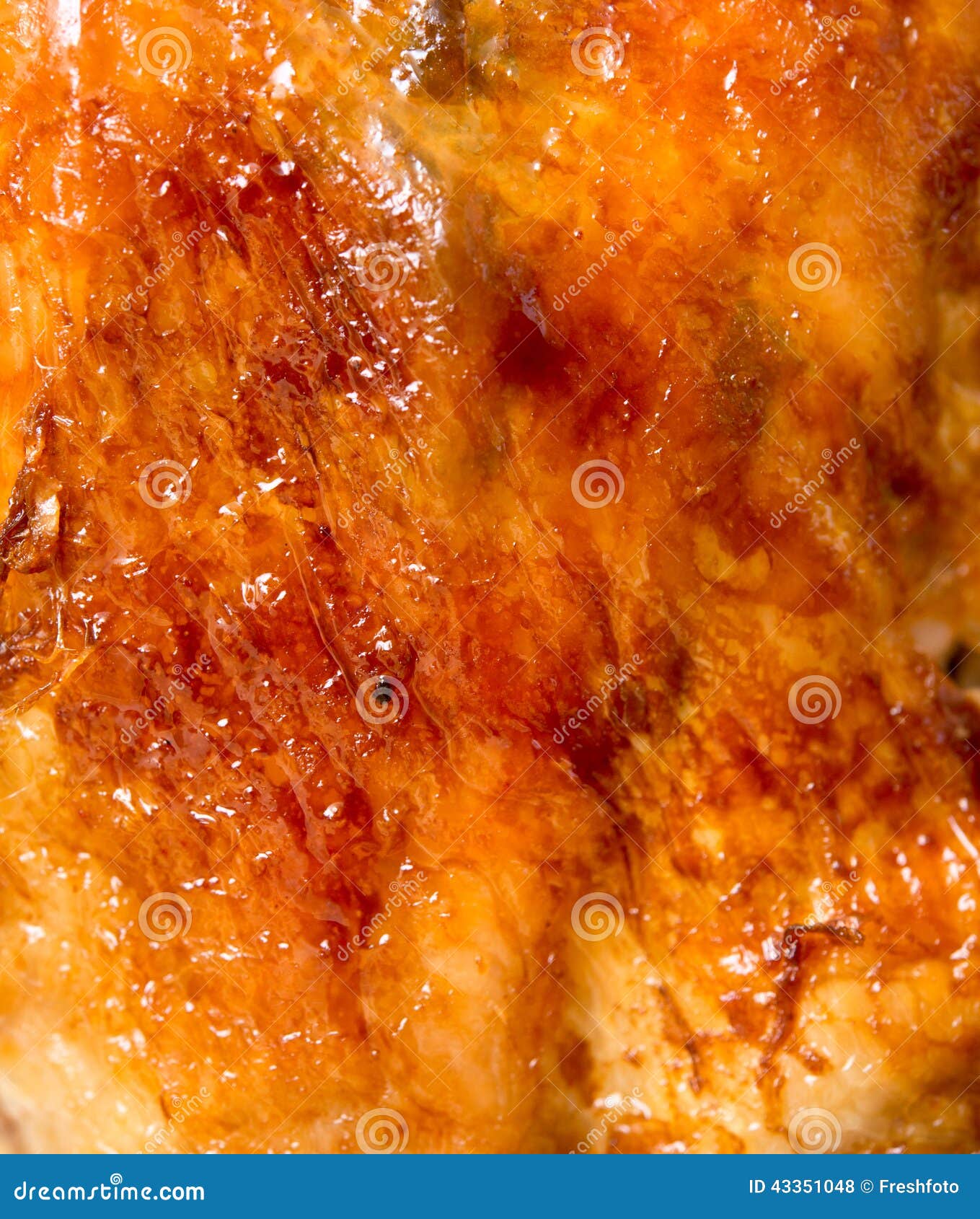 Grilled skin stock photo. Image of meat, object, roast 43351048