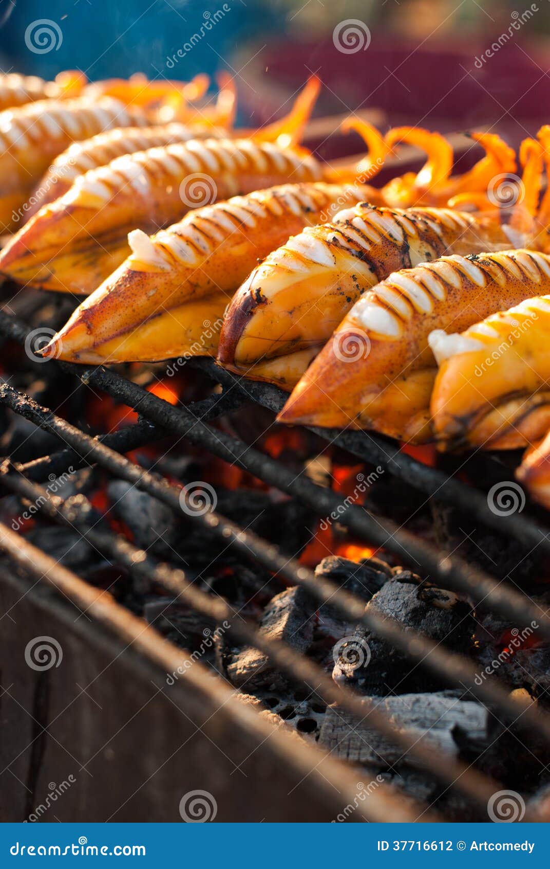 Grilled squid on stove stock photo. Image of stove, taste 37716612