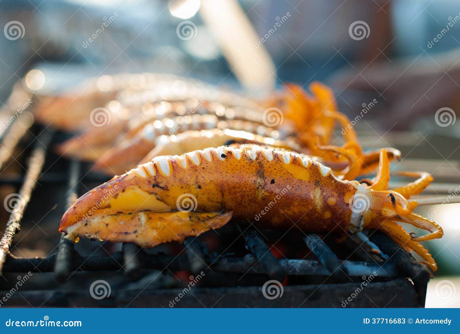 Grilled squid on stove stock image. Image of grill, diet 37716683