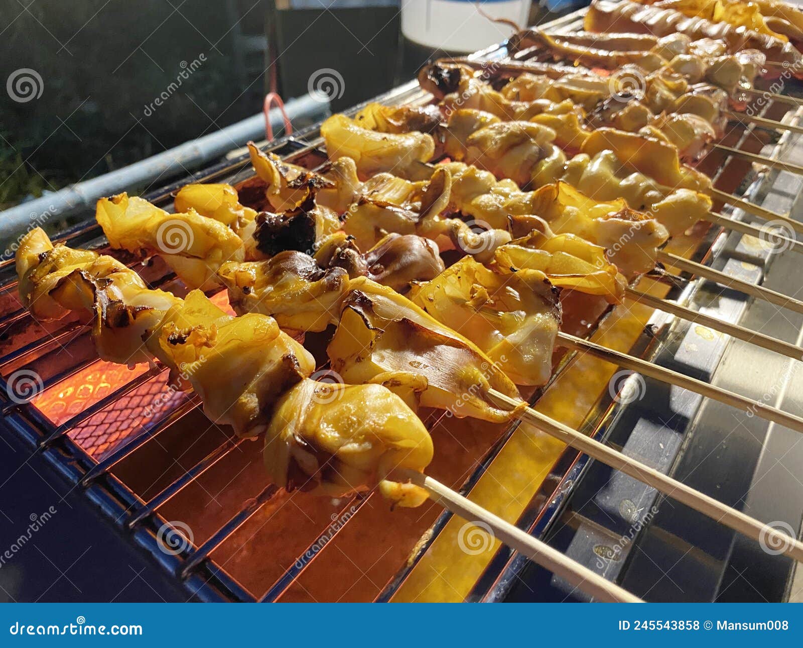 Grilled squid on stove stock photo. Image of gourmet 245543858