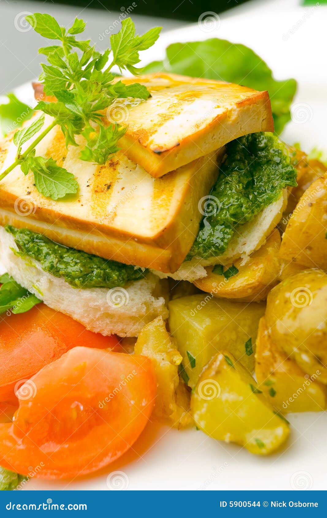 Grilled tofu on pesto stock photo. Image of grilled, snack 5900544