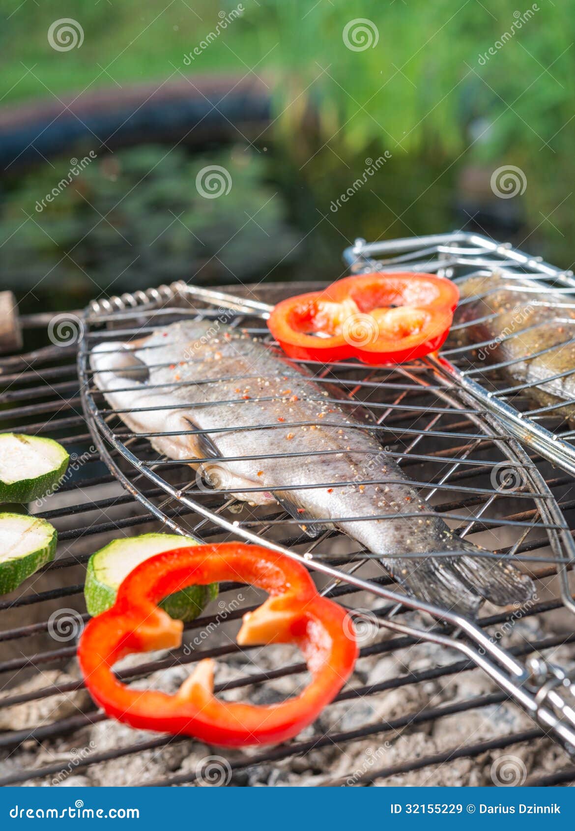 Grilled trout stock image. Image of fillet, campfire 32155229