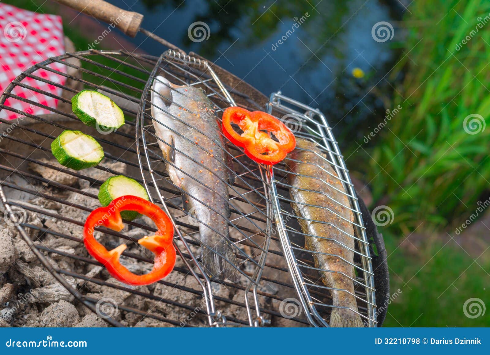 Grilled trout stock photo. Image of cookout, grill, campfire 32210798