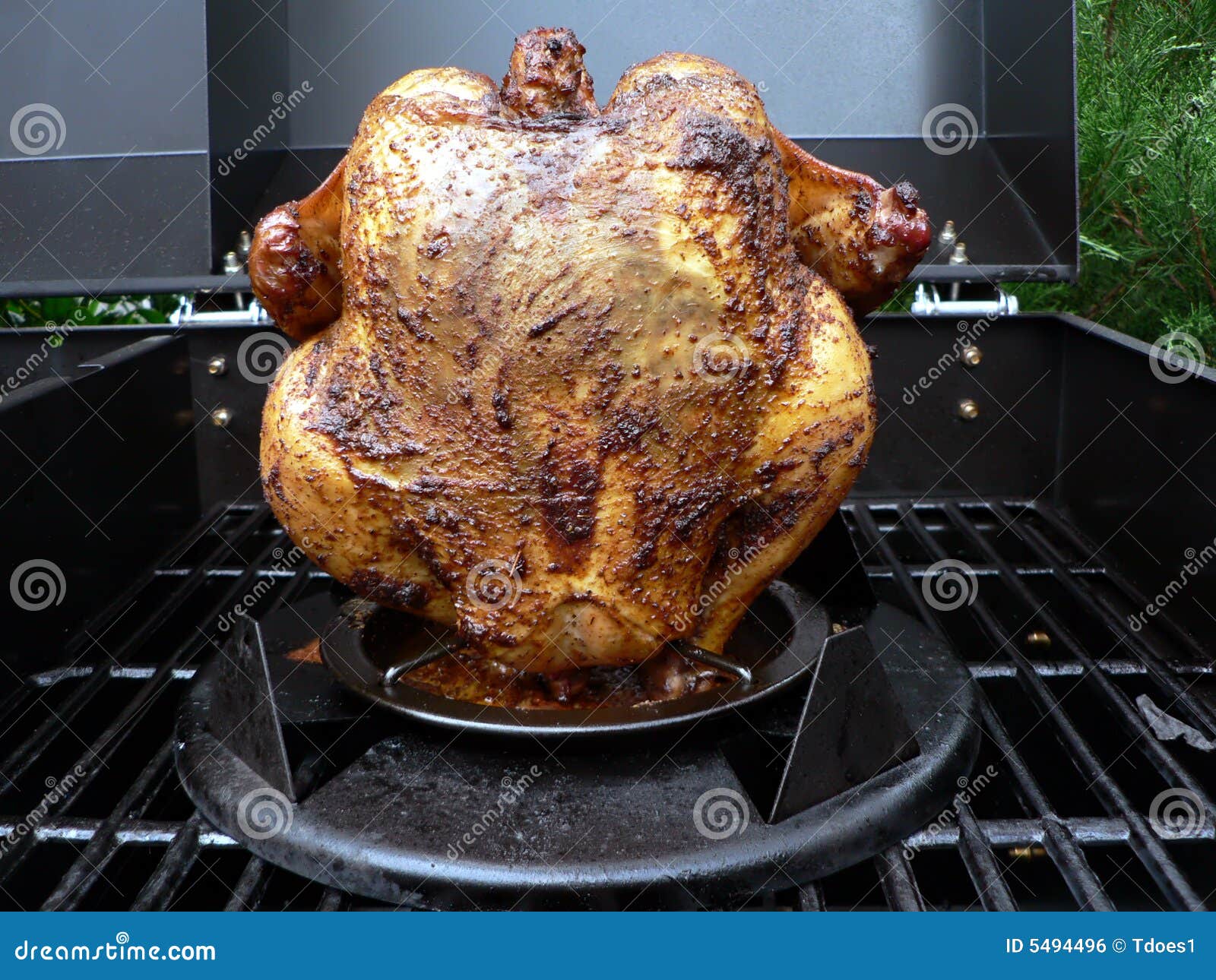 Grilled Whole Chicken on the Grill Stock Photo Image of seasonal