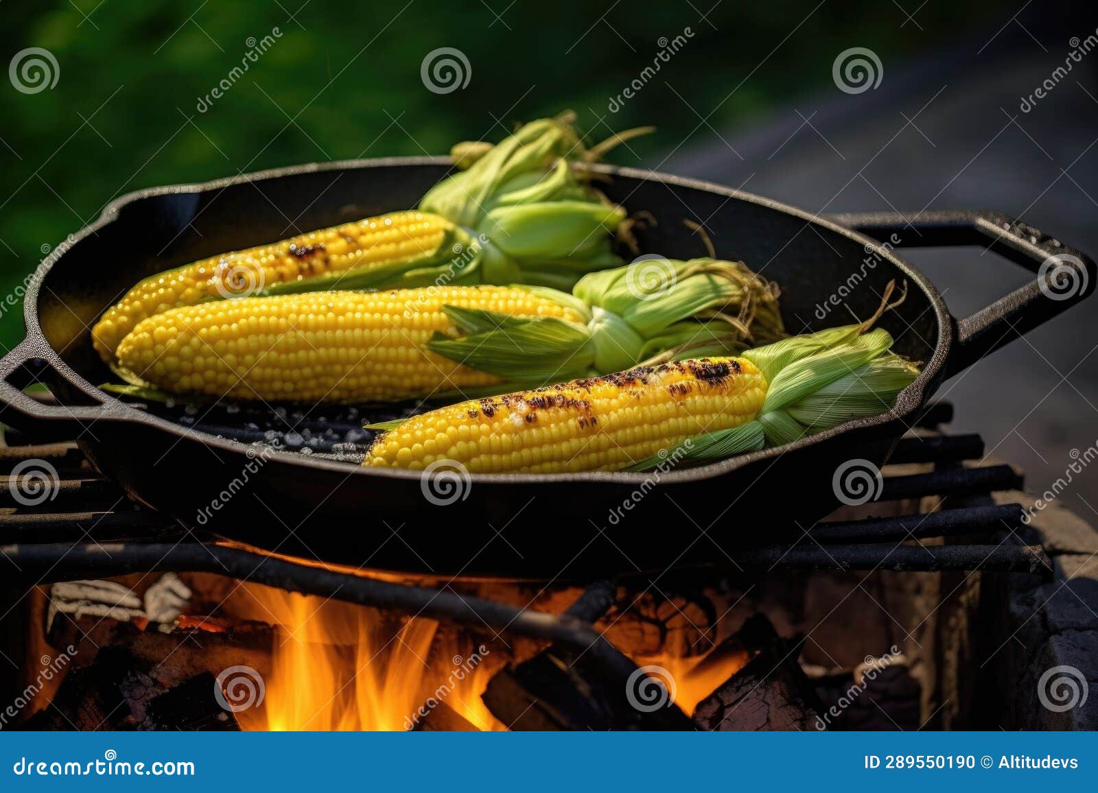 Grilling Corn on the Cob in a Cast Iron Pan on a Bbq Stock Illustration