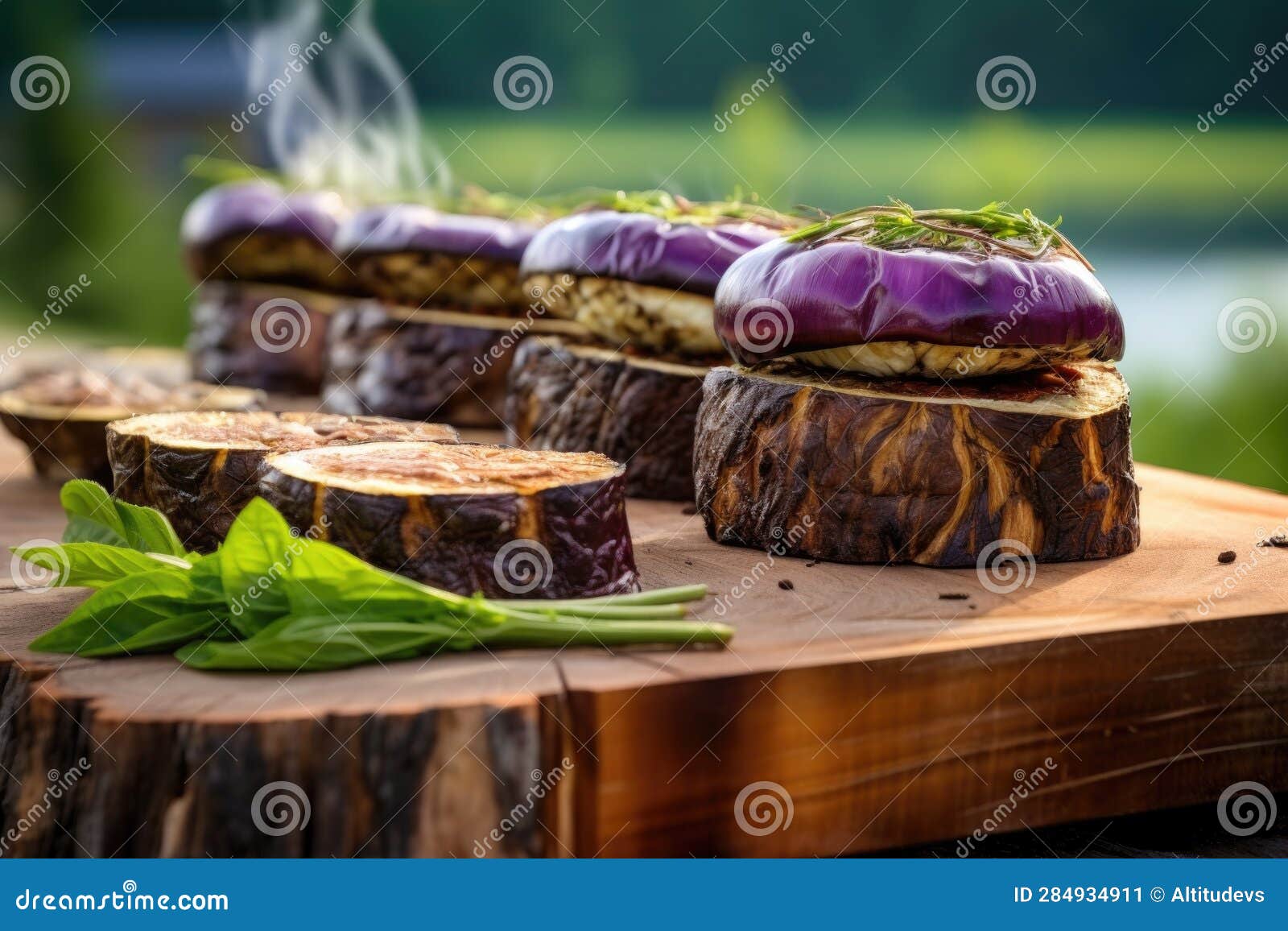 Grilling Eggplant on Cedar Plank Outdoors Stock Image Image of