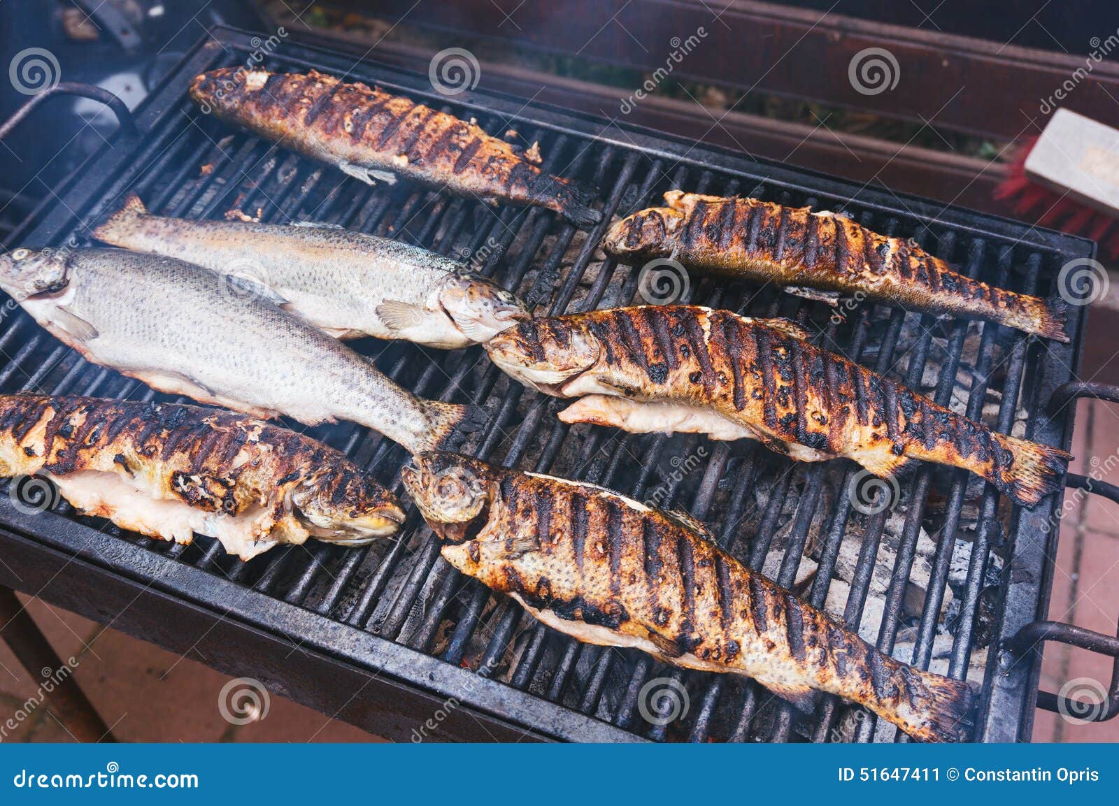 Grilling fish stock image. Image of health, catch, fishing 51647411