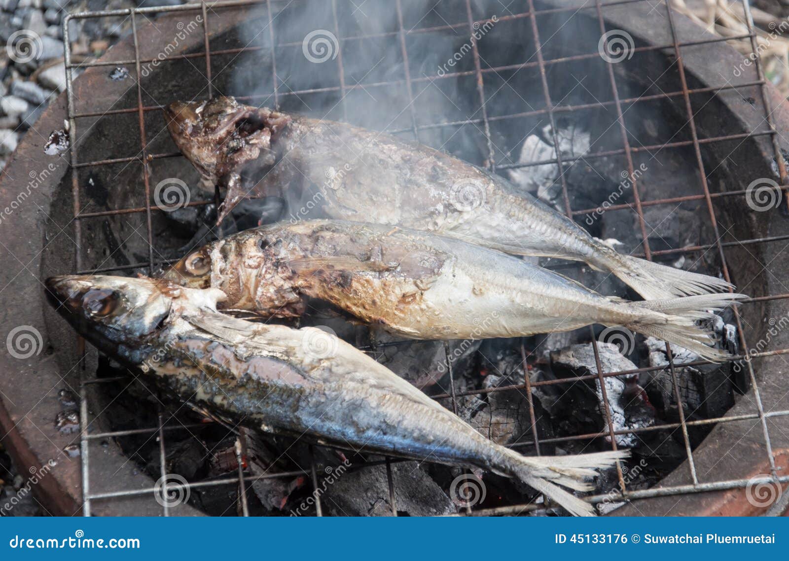 Grilling fish on barbecue stock photo. Image of barbecue 45133176