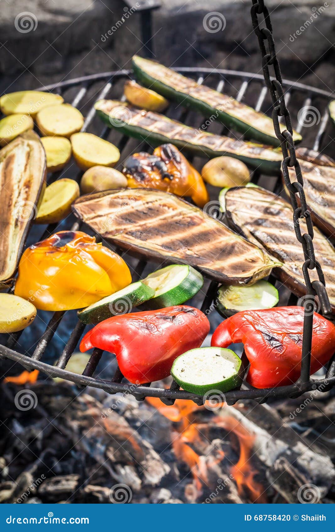 Grilling Fresh Vegetables with Herbs in Garden Stock Photo Image of