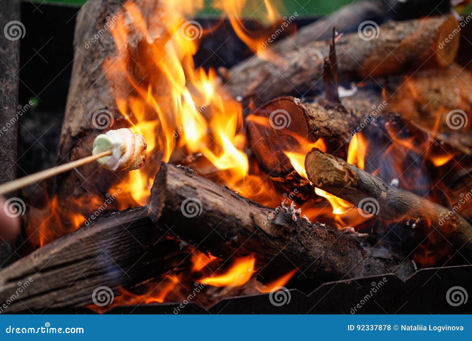 Grilling Marshmallows on Fire Stock Photo - Image of candy, grilling ...