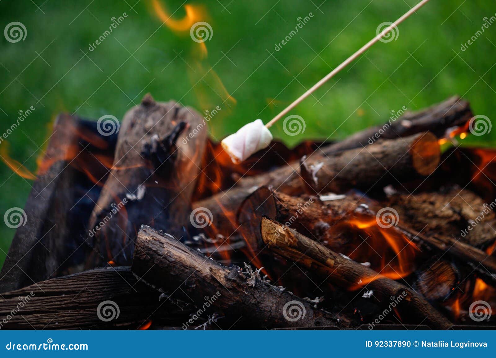 Grilling Marshmallows on Fire Stock Photo - Image of roast, outdoors ...