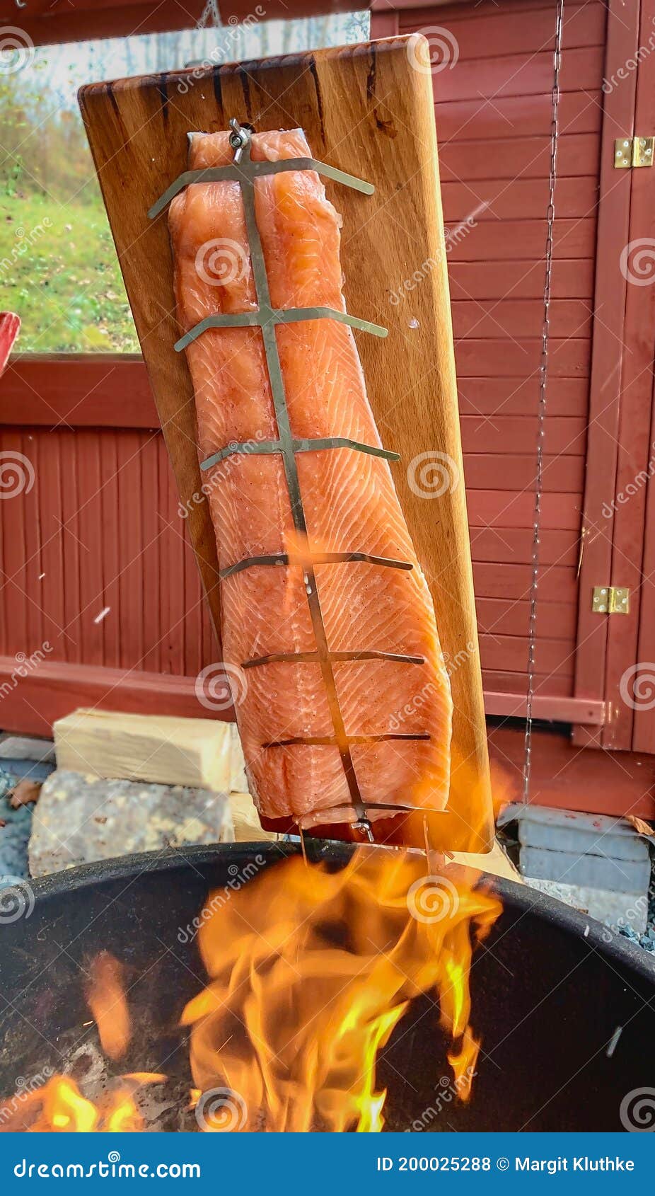 Grilling Salmon on an Open Fire in Sweden Stock Photo Image of heat