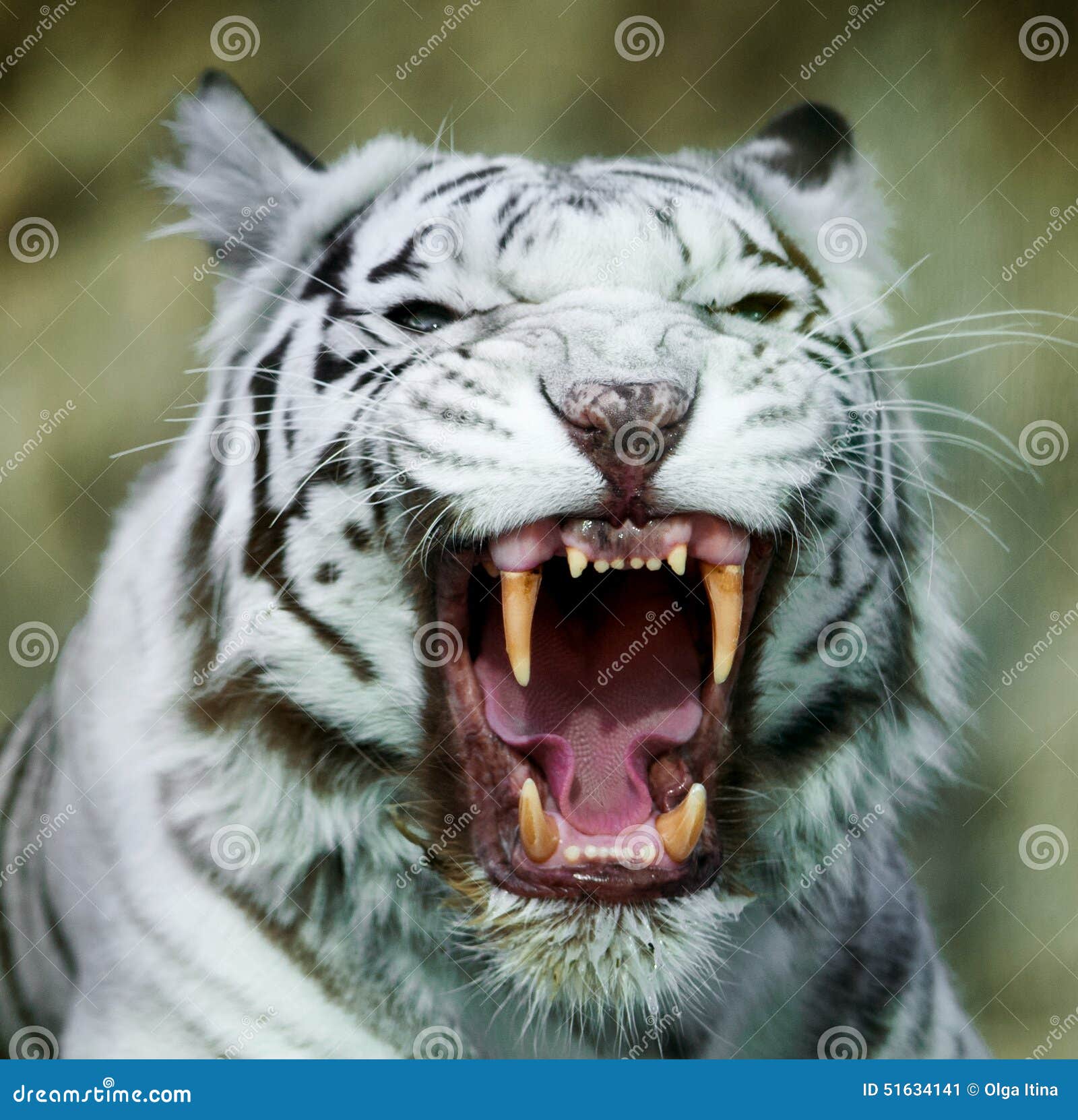 My Image 30