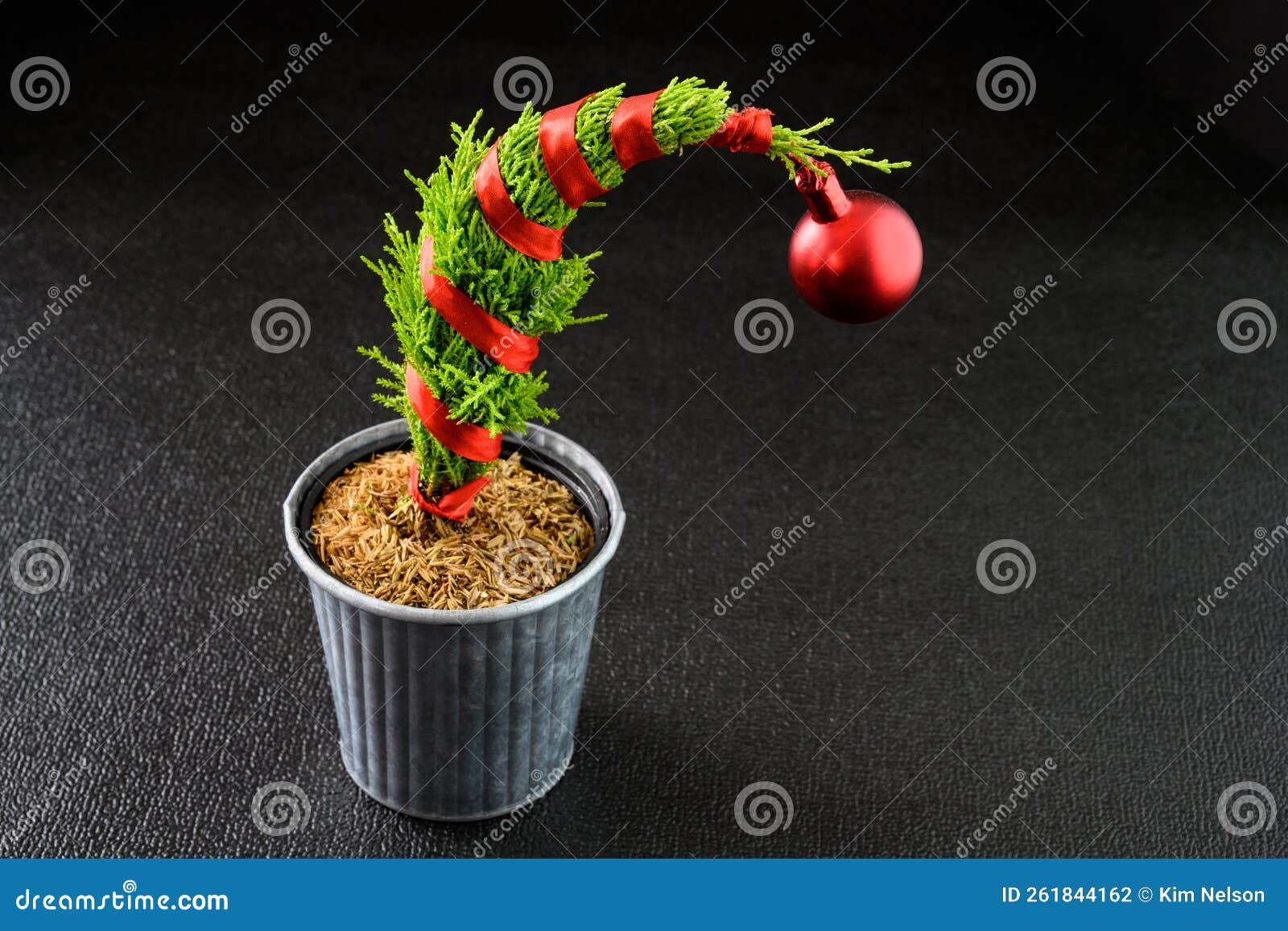 Grinch Christmas Tree, Lemon Cypress Tree, Wrapped in Red Ribbon with a
