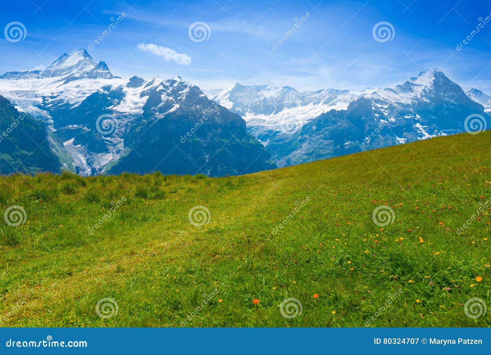 Grindelwald stockbild. Bild von berg, panorama, region 80324707