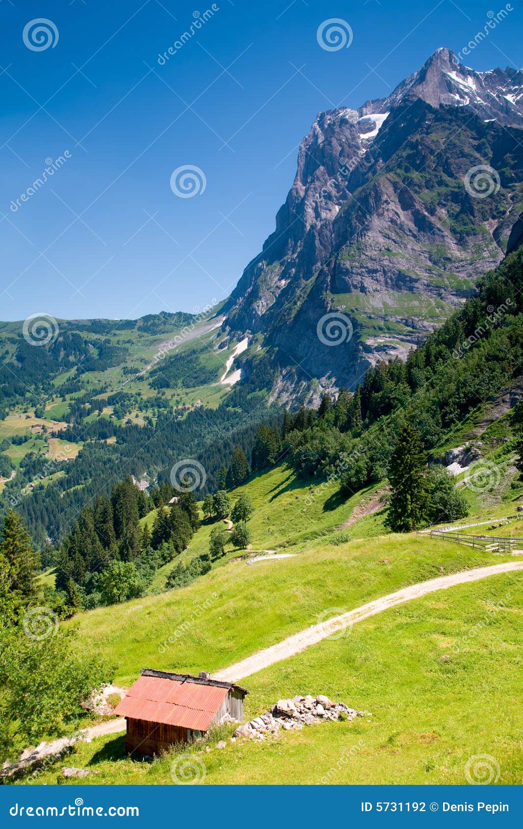 grindelwald in bern canton switzerland