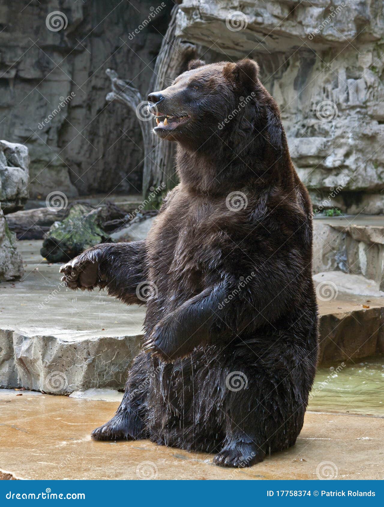 V gris Imágenes vectoriales de stock - Alamy