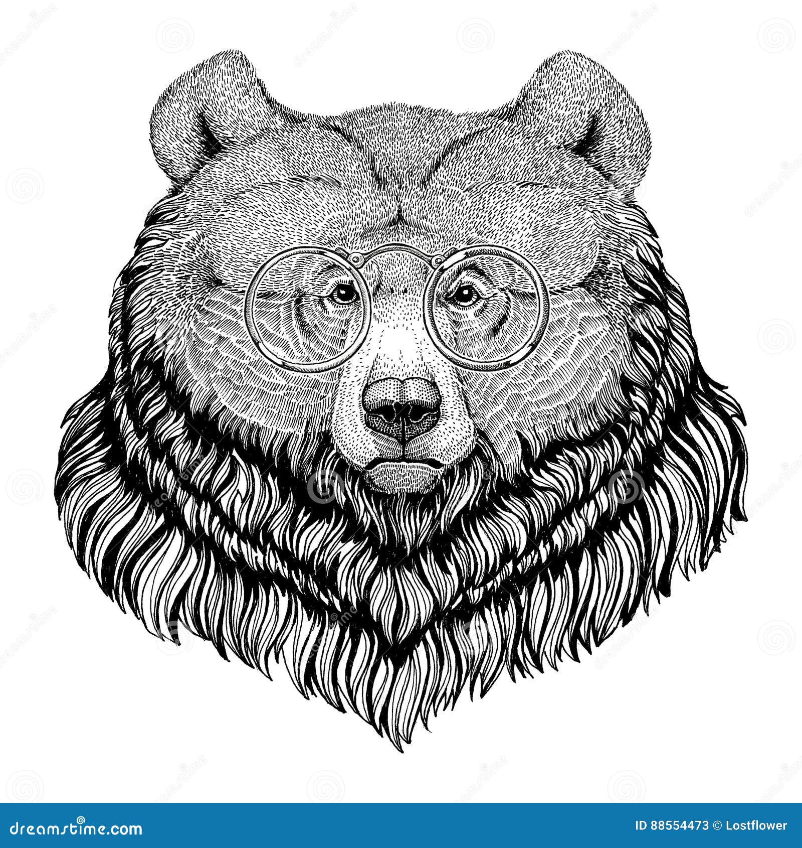 Bear tattoo art, symbol travel and tourism. portrait grizzly. • wall  stickers wildlife, wild nature, wild animals | myloview.com