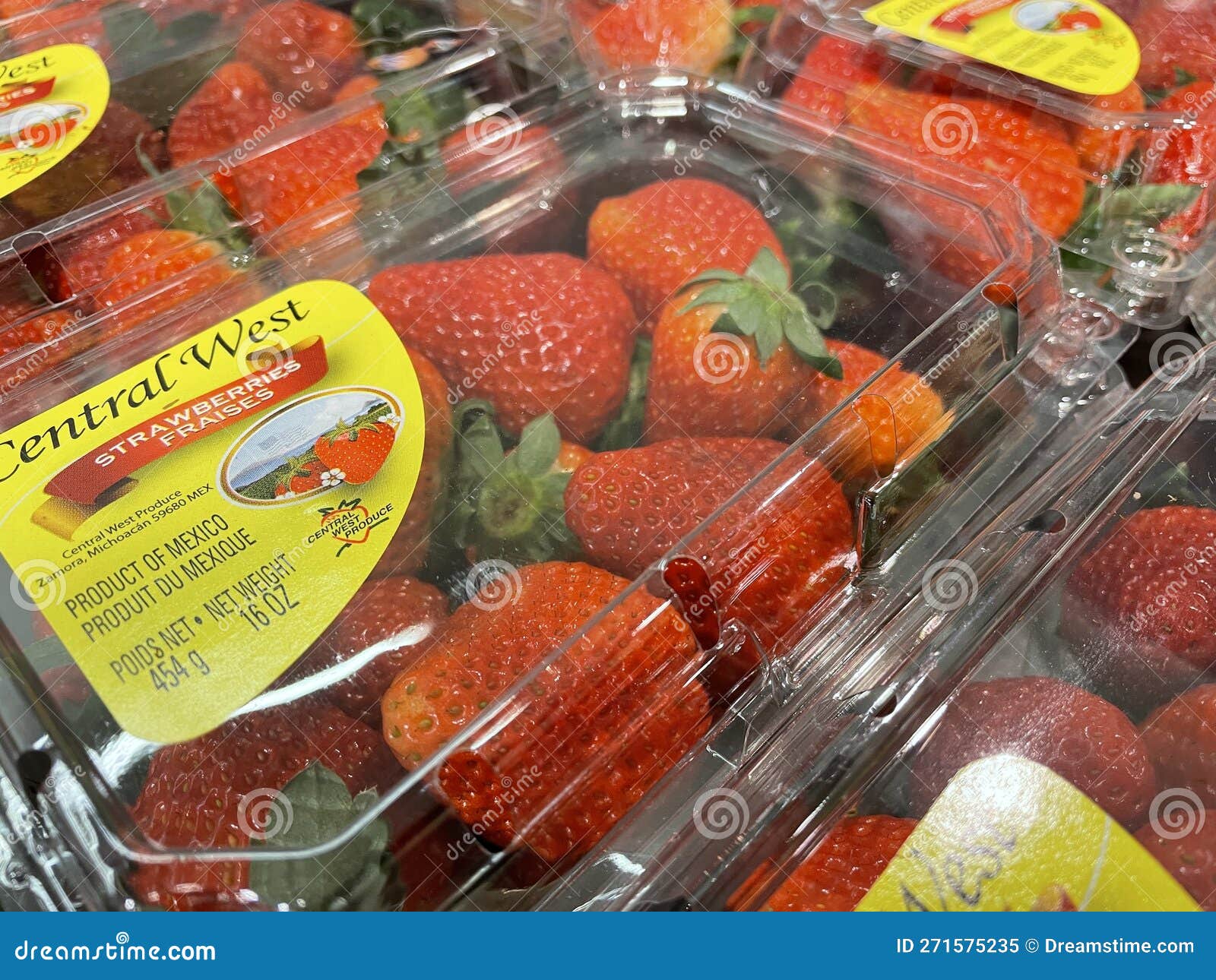 Grocery Store Packaged Strawberries on Display Close Up Editorial Image ...