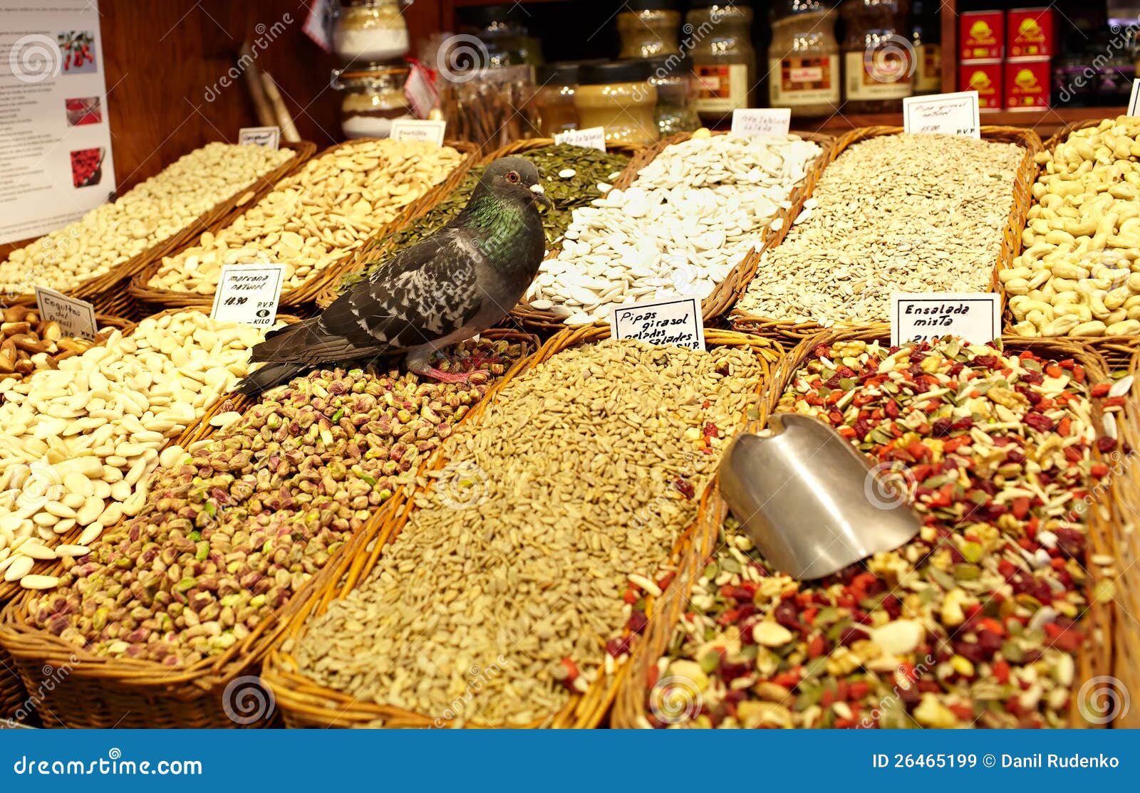 Grocery store with pigeon stock image. Image of south 26465199