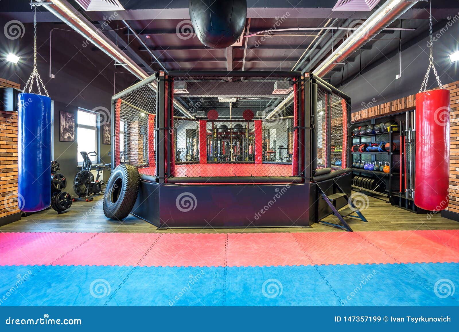 GRODNO, BELARUS - APRIL 2019: Hall of Martial Arts with Fighting Ring and  Punching Bags in the Modern Fight Club Editorial Stock Image - Image of  blurred, boxing: 147357199