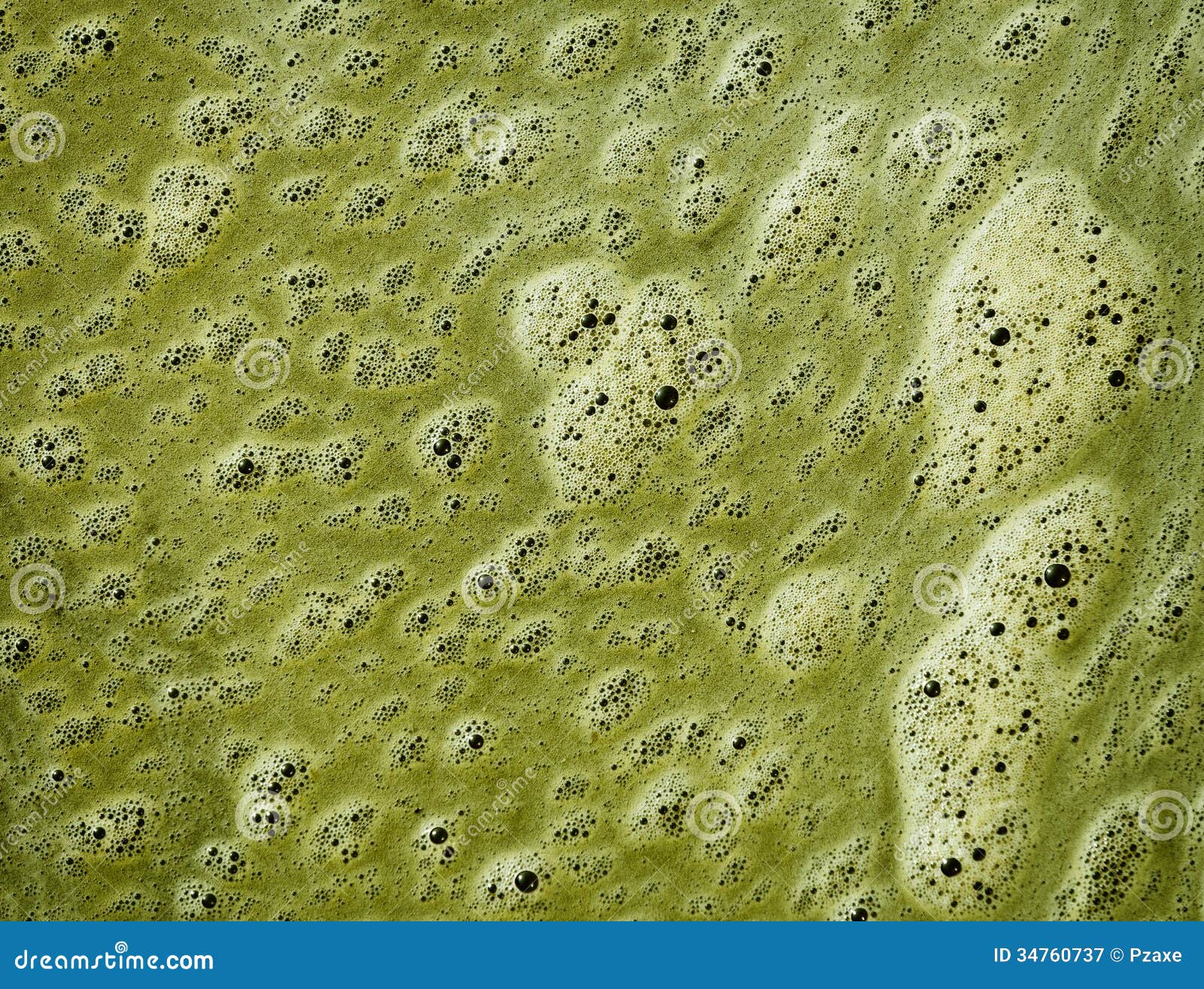 Groen Op De Oppervlakte Van Vuil Water Afbeelding - Image of schuim, achtergrond: