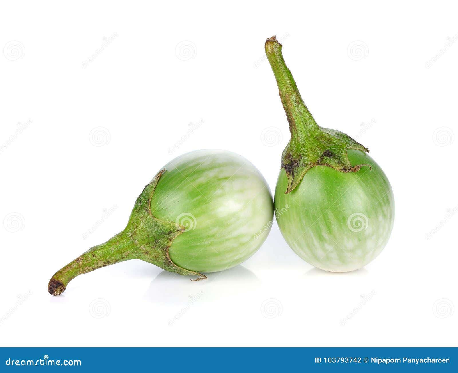 picknick Hardheid zich zorgen maken Groene aubergine stock foto. Image of thais, ronde, groen - 103793742