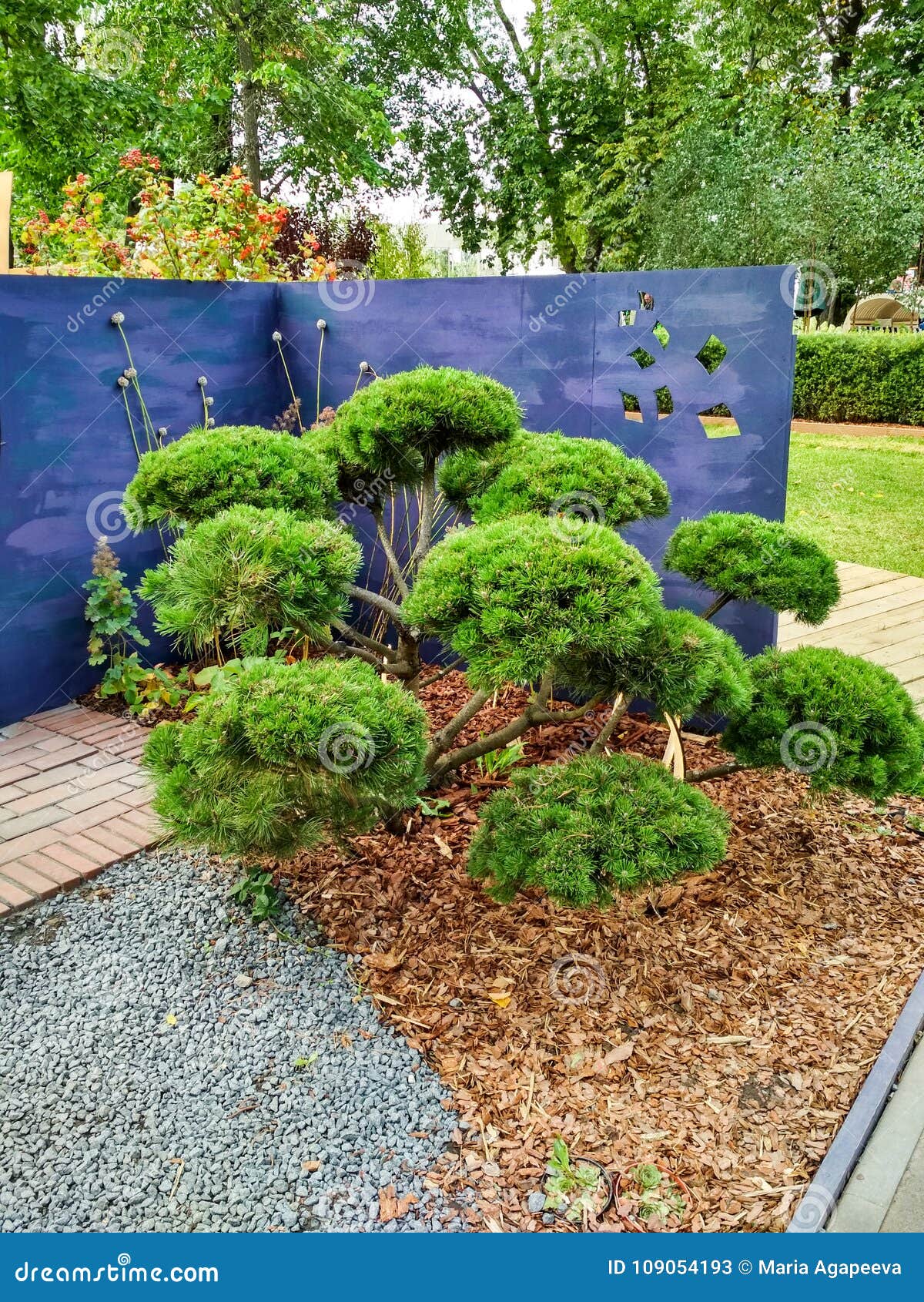 Groene bloemen dichtbij blauwe muur. Groene bloemen dichtbij grote blauwe wal