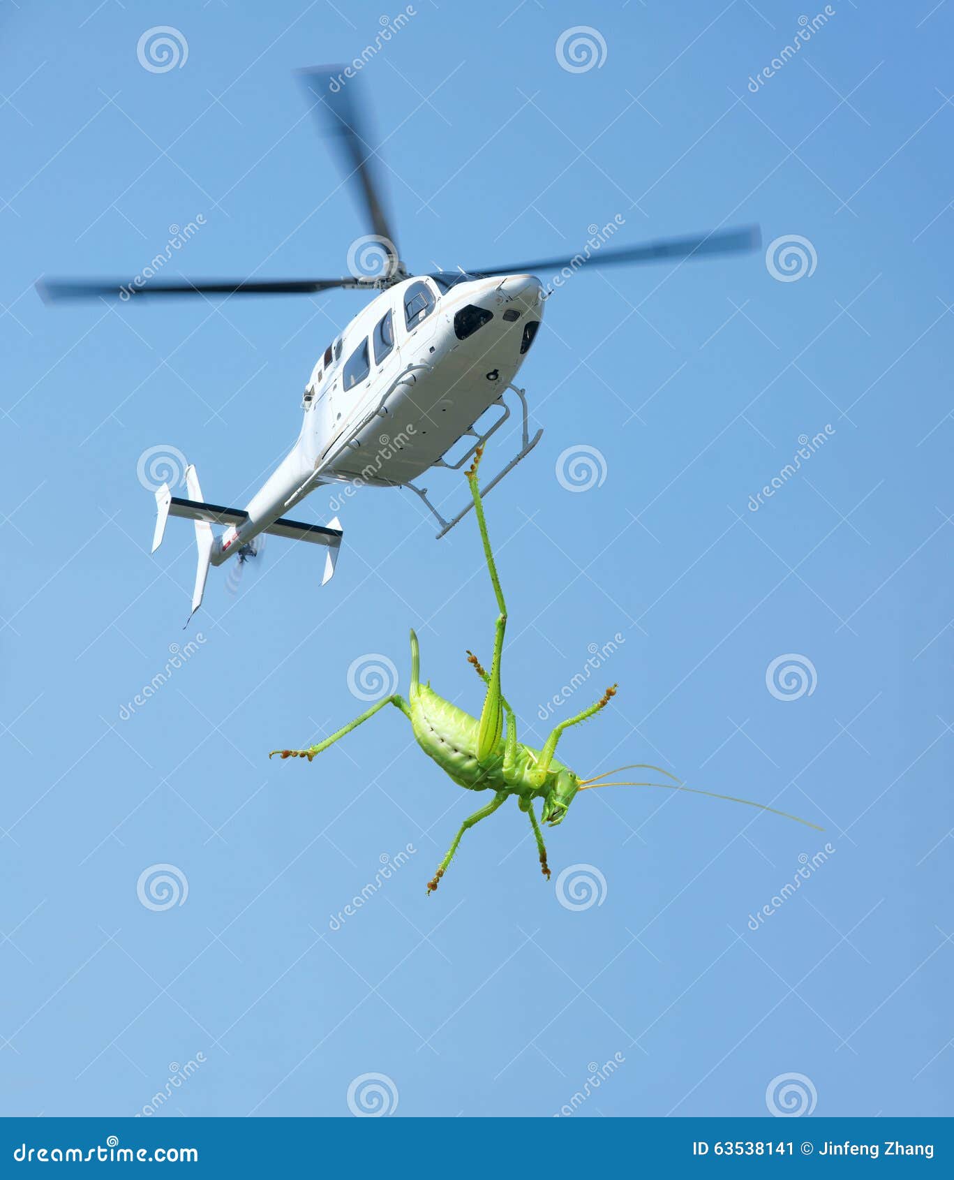 knal ongerustheid Cater Groene Veenmol En Helikopter Stock Afbeelding - Image of dier, dieren:  63538141