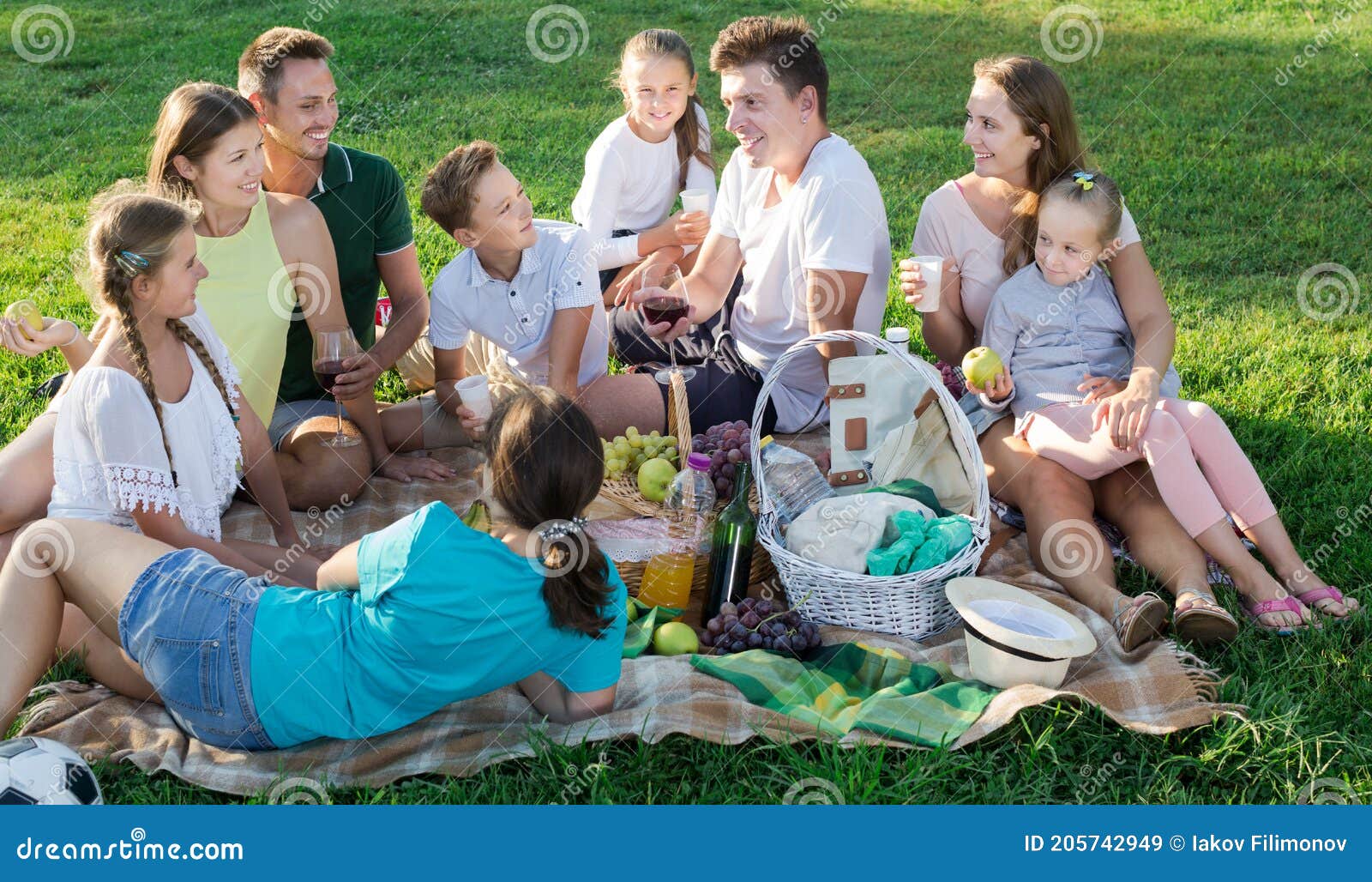 Bijdrage College Afdrukken Groep Mensen Die Blij Zijn Met Kinderen Die Picknicken Stock Afbeelding -  Image of vrolijk, mededeling: 205742949