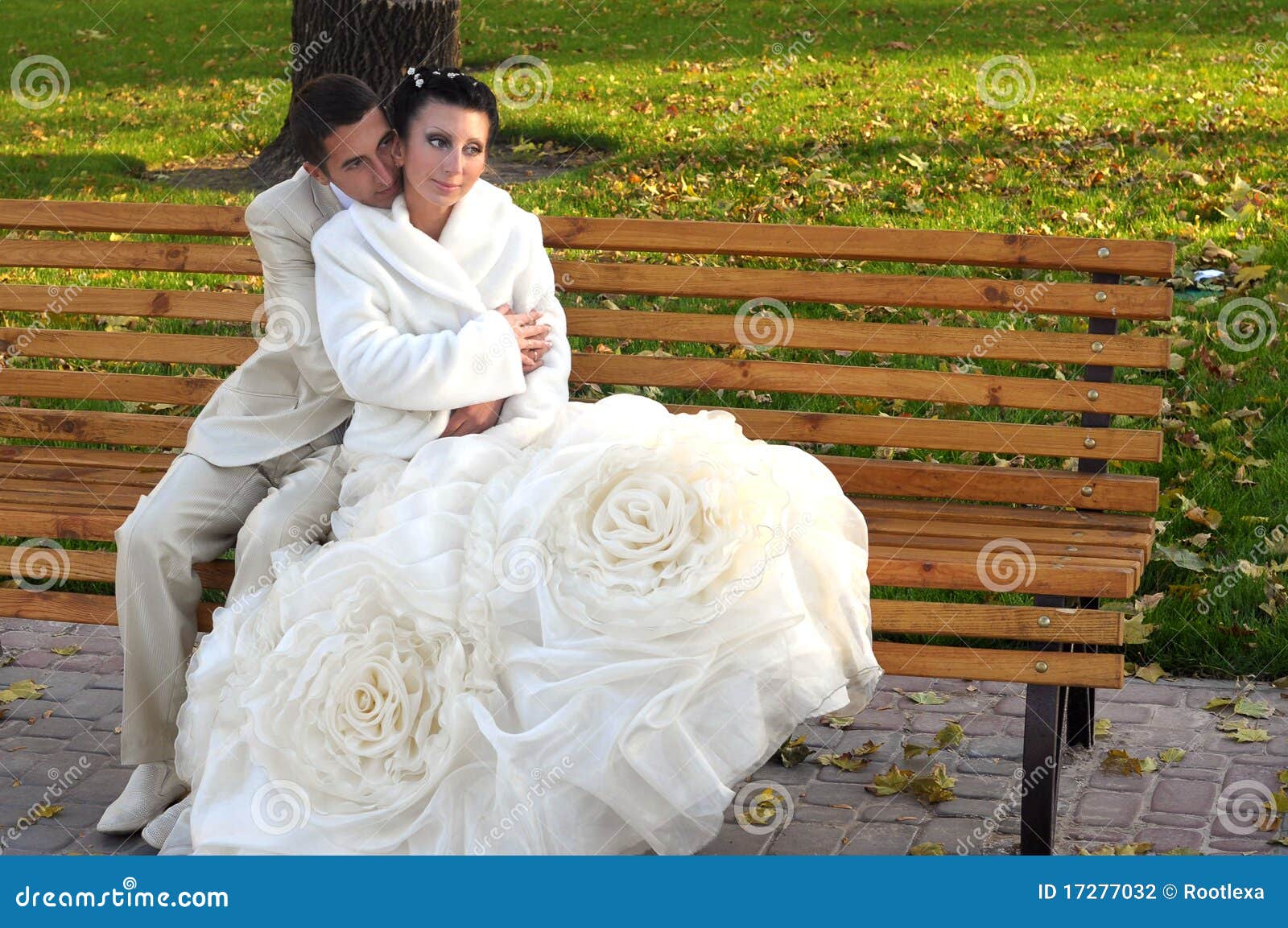 Groom and Bride on the Bench Stock Photo Image of caucasian, wedding