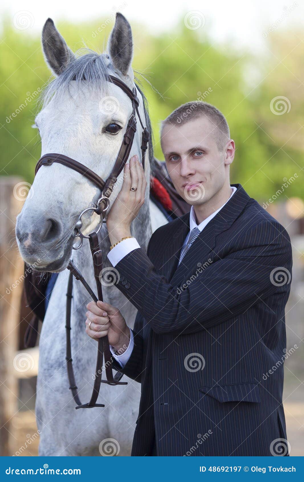 Groom with a Grey Horse in during Wedding Walk Stock Image Image of