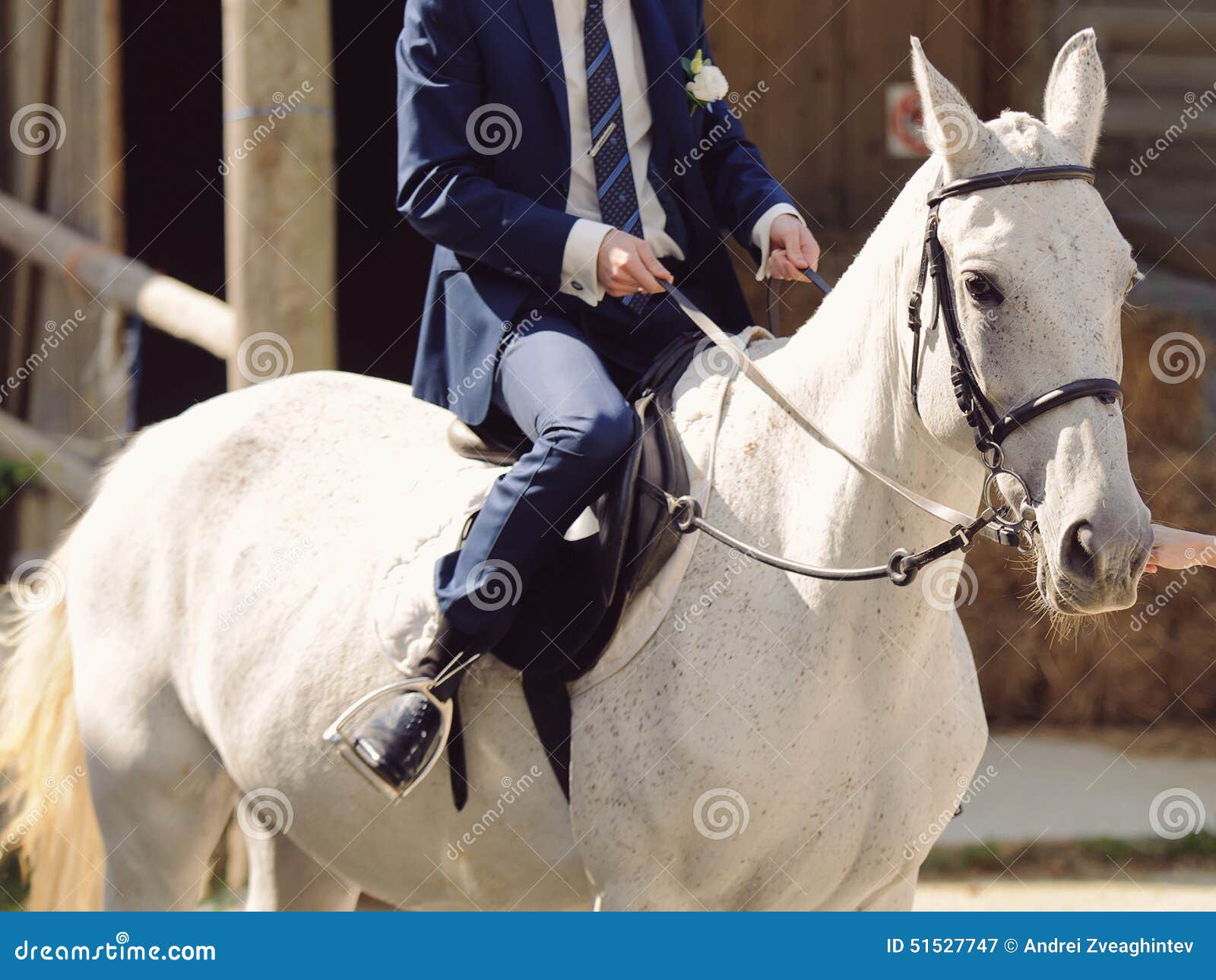 Groom on White Horse stock image. Image of love, business 51527747