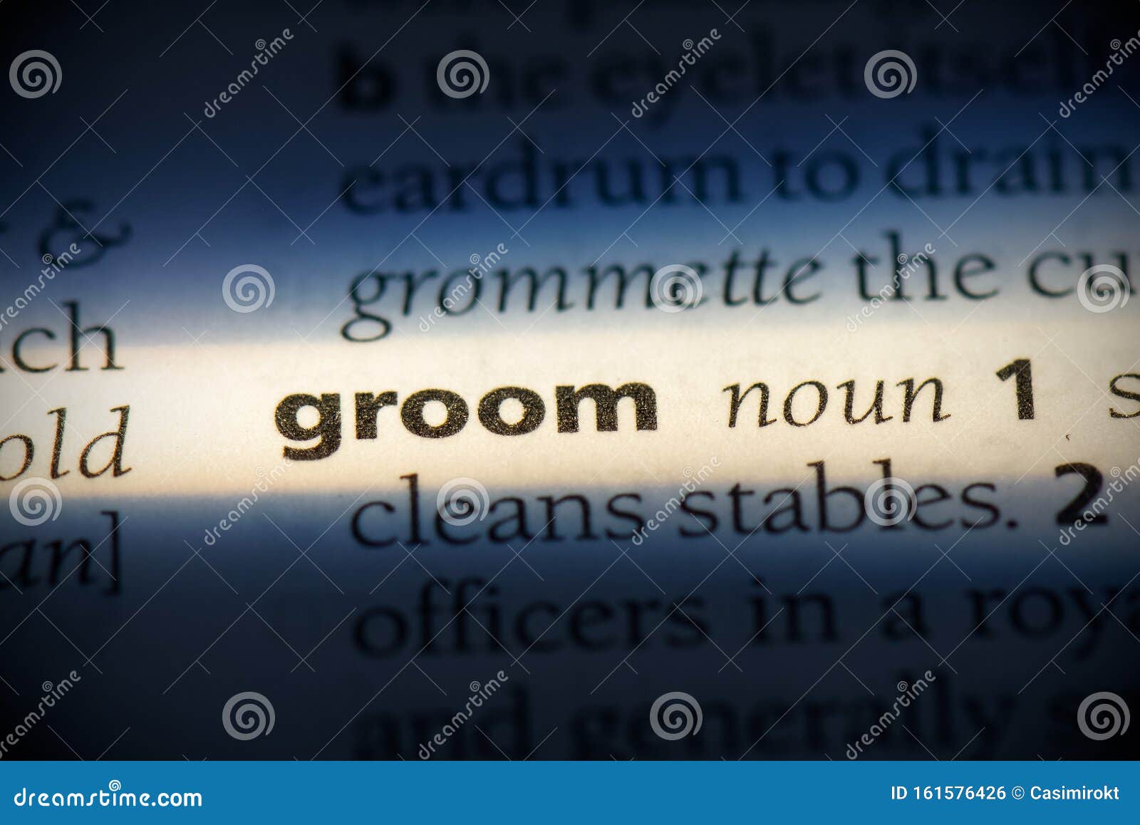 Groom stock photo. Image of focus, word, linguistic 161576426